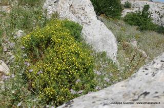 ntana Paradiso-15-05-2014 17-40-28